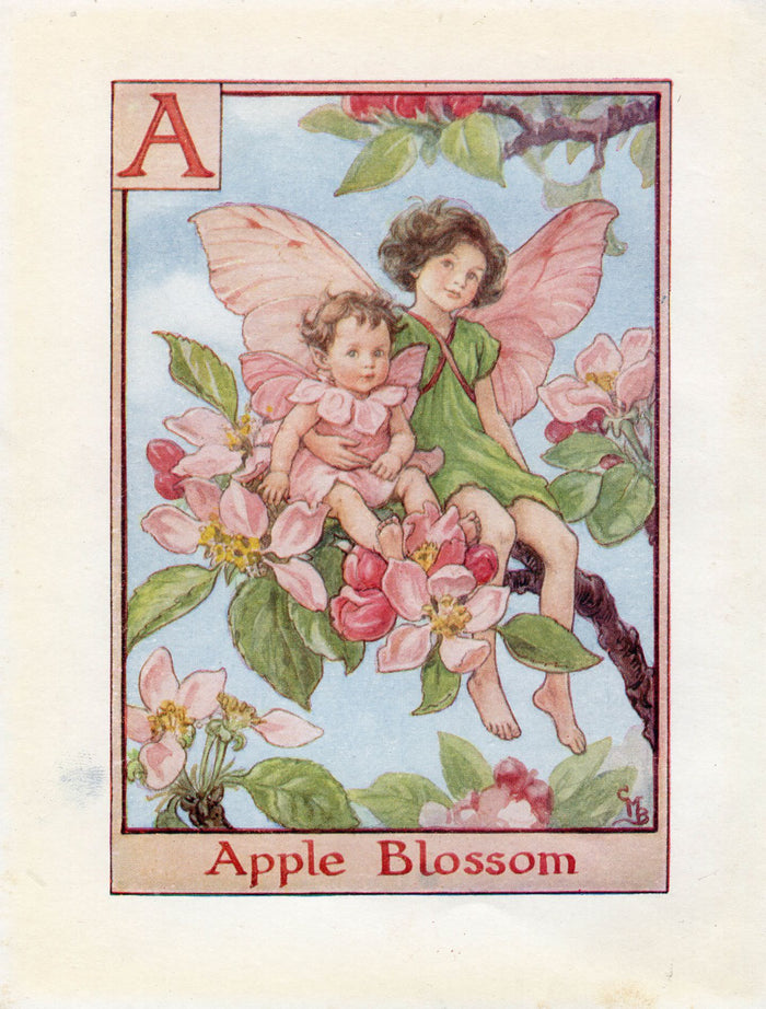 Apple Blossom Flower Fairy Vintage Print c1940 Cicely Barker Alphabet Letter A