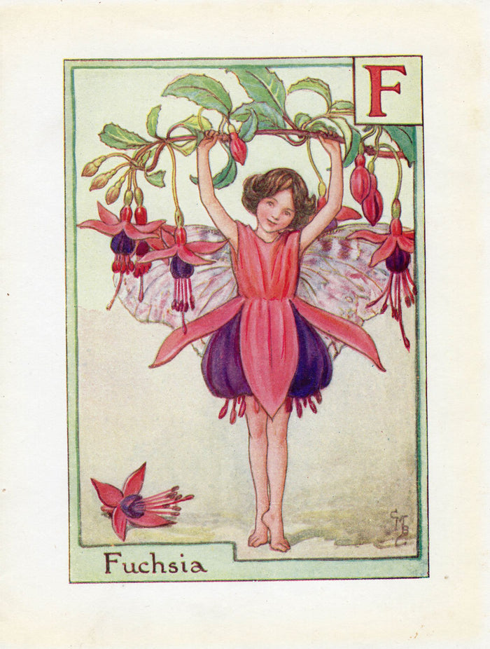 Fuchsia Flower Fairy Vintage Print c1940 Cicely Barker Alphabet Letter F