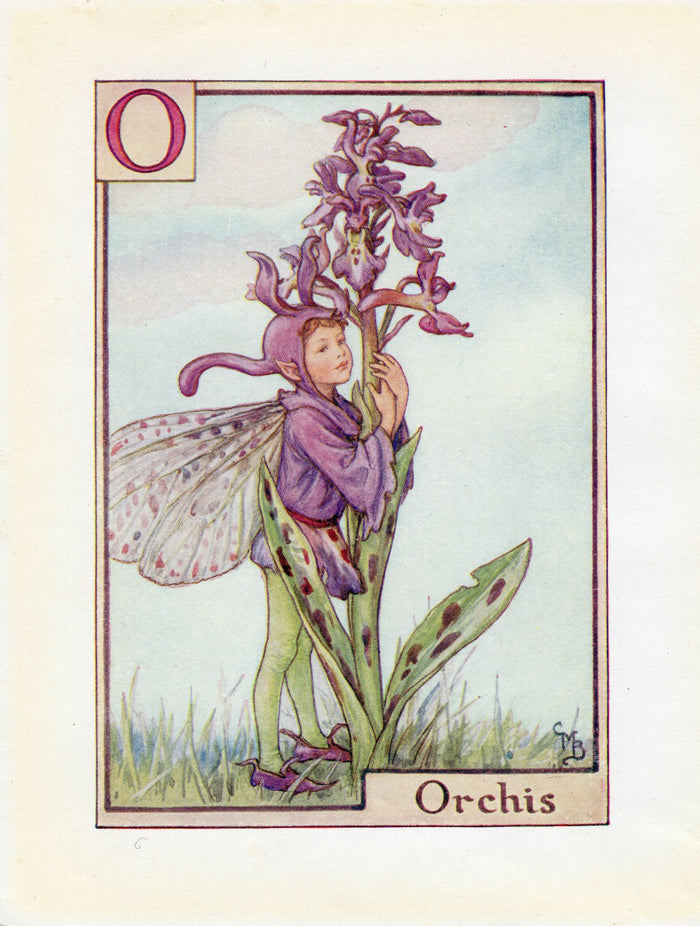 Orchis Flower Fairy Vintage Print c1940 Cicely Barker Alphabet Letter O
