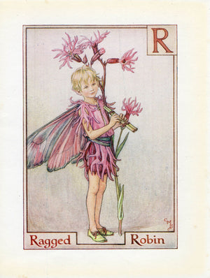 Image-Of-Ragged-Robin-Flower-Fairy-Print-Alphabet-Letter-R