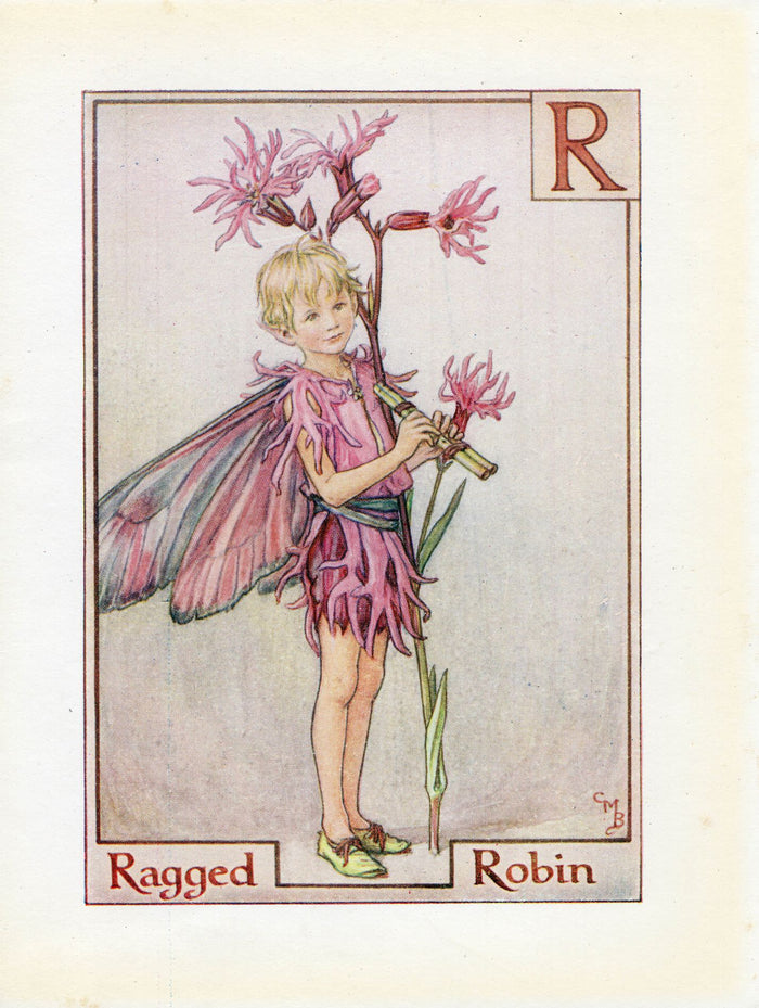 Ragged Robin Flower Fairy Vintage Print c1940 Cicely Barker Alphabet Letter R