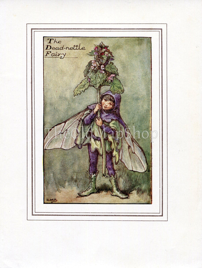 Dead-nettle Flower Fairy 1930's Vintage Print Cicely Barker Spring Book Plate SP008