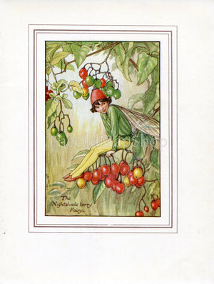 Nightshade Berry Flower Fairy 1930's Vintage Print Cicely Barker Autumn Book Plate A028