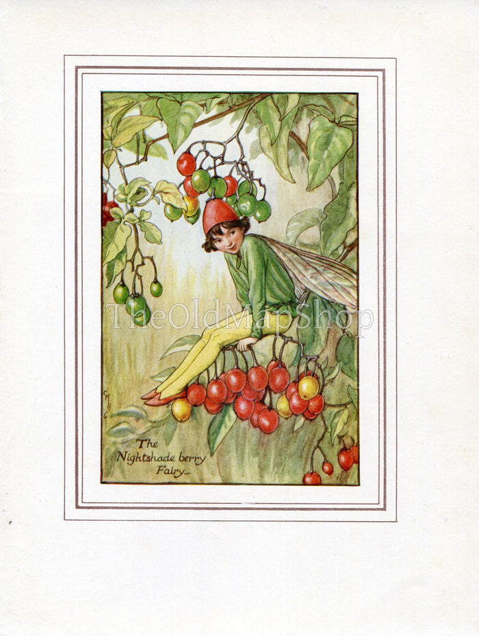 Nightshade Berry Flower Fairy 1930's Vintage Print Cicely Barker Autumn Book Plate A028