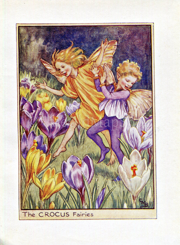 Crocus Flower Fairy Print Vintage 1950's Cicely Barker Garden Book Plate G002s