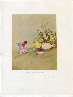 1922 Ida Rentoul Outhwaite Antique Fairy, Chick Chicken Egg Print, What a Fright She Got, Book Plate from The Little Green Road to Fairyland