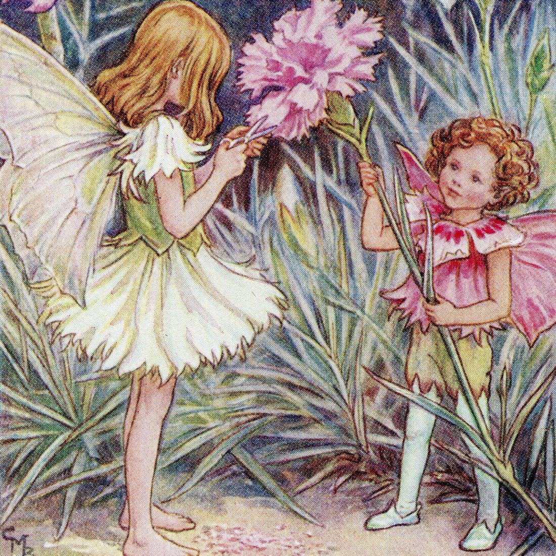 Flower Fairy Prints by Cicely Mary Barker between (1923-1950). Flower Fairies
