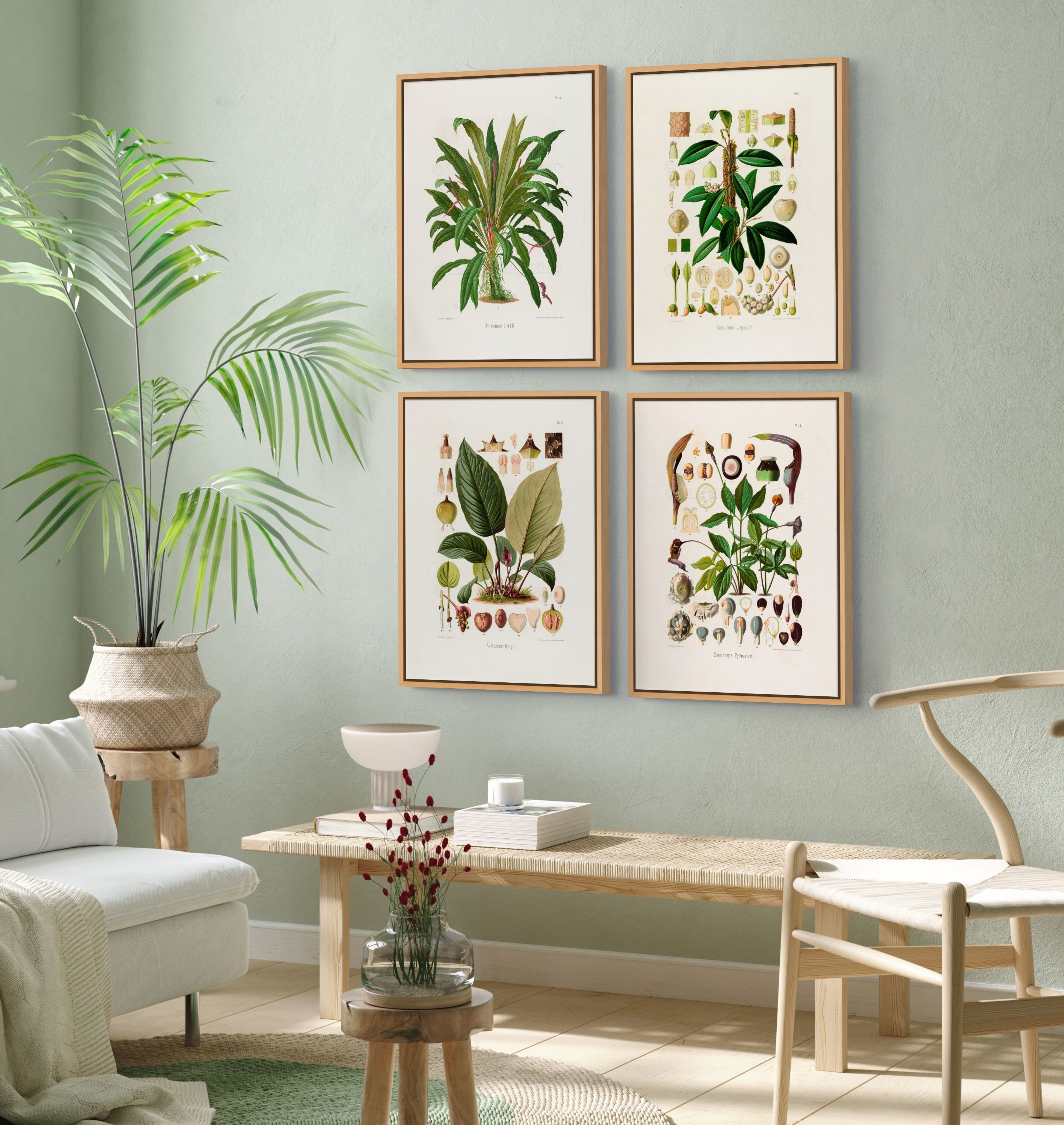 Four framed vintage botanical illustrations displayed on a pale green wall in a bright, natural interior, featuring botanical wall art from The Old Map Shop.