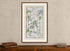 Framed 1783 Taylor & Skinner Ireland road map of Ballymena, Ballycastle, Broughshane, Clough and Armoy