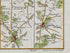 Lower detail of 1783 Taylor & Skinner Map 33 showing Drogheda, Ardee, the River Boyne and River Dee in County Louth.