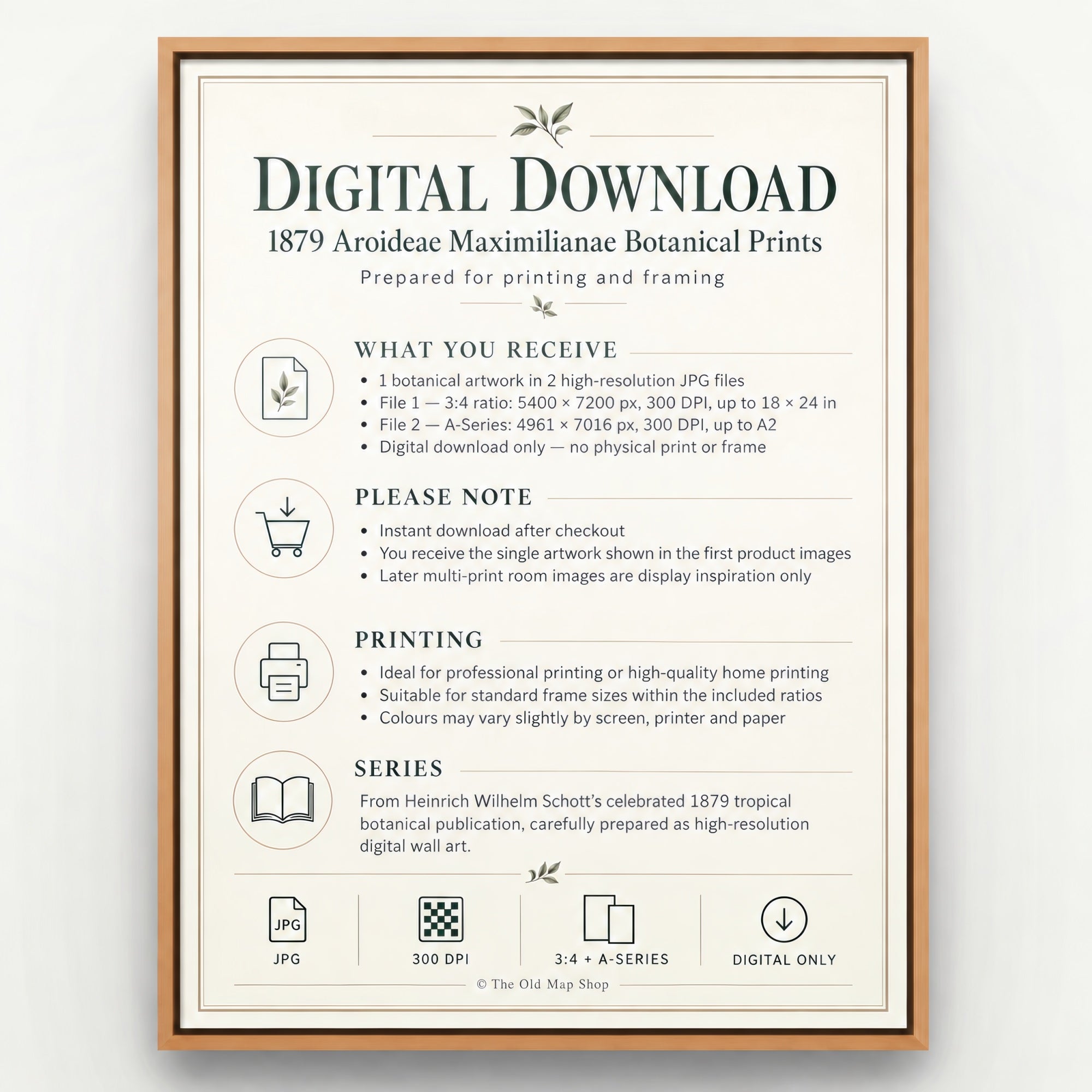 Digital download information for The Old Map Shop's 1879 antique botanical prints, explaining the two high-resolution JPG files, 3:4 and A-Series print sizes, 300 DPI quality and what is included with each purchase.