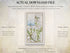 Actual download file information for the 1783 Taylor & Skinner Coleraine and Portrush Ireland road map.