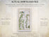 Actual download file information for the 1783 Taylor & Skinner Londonderry, Limavady and Dungiven Ireland road map.