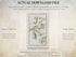 Actual download file information for the 1783 Taylor & Skinner Maghera and Magherafelt Ireland road map.