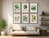 Six framed antique botanical prints from Heinrich Wilhelm Schott's 1879 Aroideae Maximilianae collection arranged in a two-row gallery wall above a cream sofa in a warm, neutral living room with timber shelving and natural greenery.