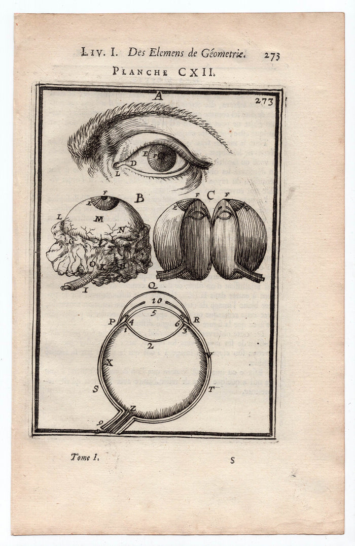 1702 Manesson Mallet, Eye, Antique Print