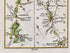 Close-up of Banbridge, Loughbrickland, Lisburn and Hillsborough with connecting roads on the 1783 Taylor & Skinner Ireland road map.