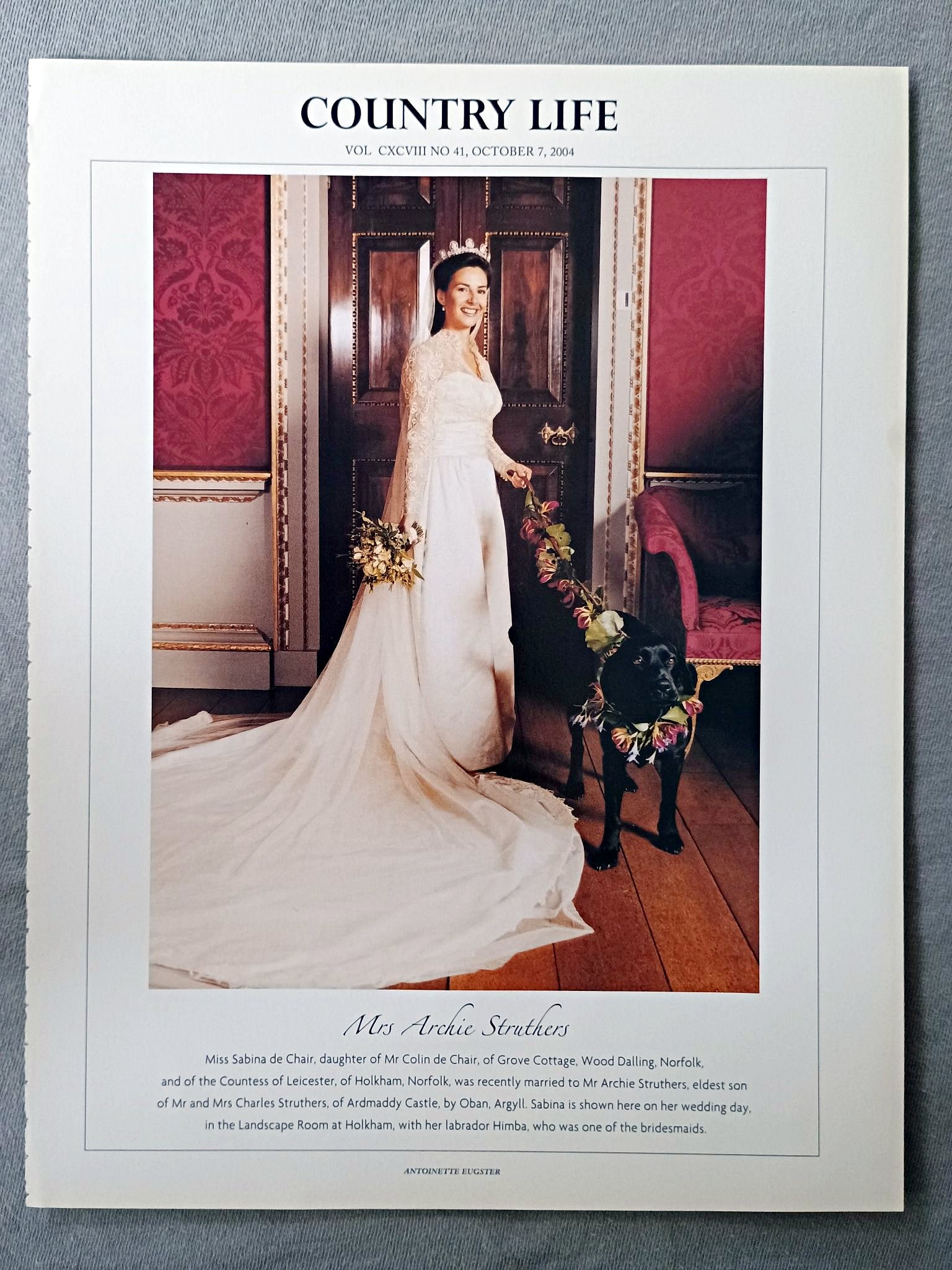 Mrs Archie Struthers - Miss Sabina de Chair, daughter of Mr Colin de Chair, of Grove Cottage, Wood Dalling, Norfolk, and of the Countess of Leicester, of Holkham, Norfolk, was recently married to Mr Archie Struthers, eldest son of Mr and Mrs Charles Struthers, of Ardmaddy Castle, by Oban, Argyll. Sabina is shown here on her wedding day, in the Landscape Room at Holkham, with her labrador Himba, who was one of the bridesmaids.