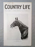 Call Boy, Epsom Derby Winner Country Life Magazine Portrait, Frontispiece, June 11 1927. LXI No. 1586

The featured frontispiece this week is a portrait of "CALL BΟΥ." - From the original drawing by B. Roland