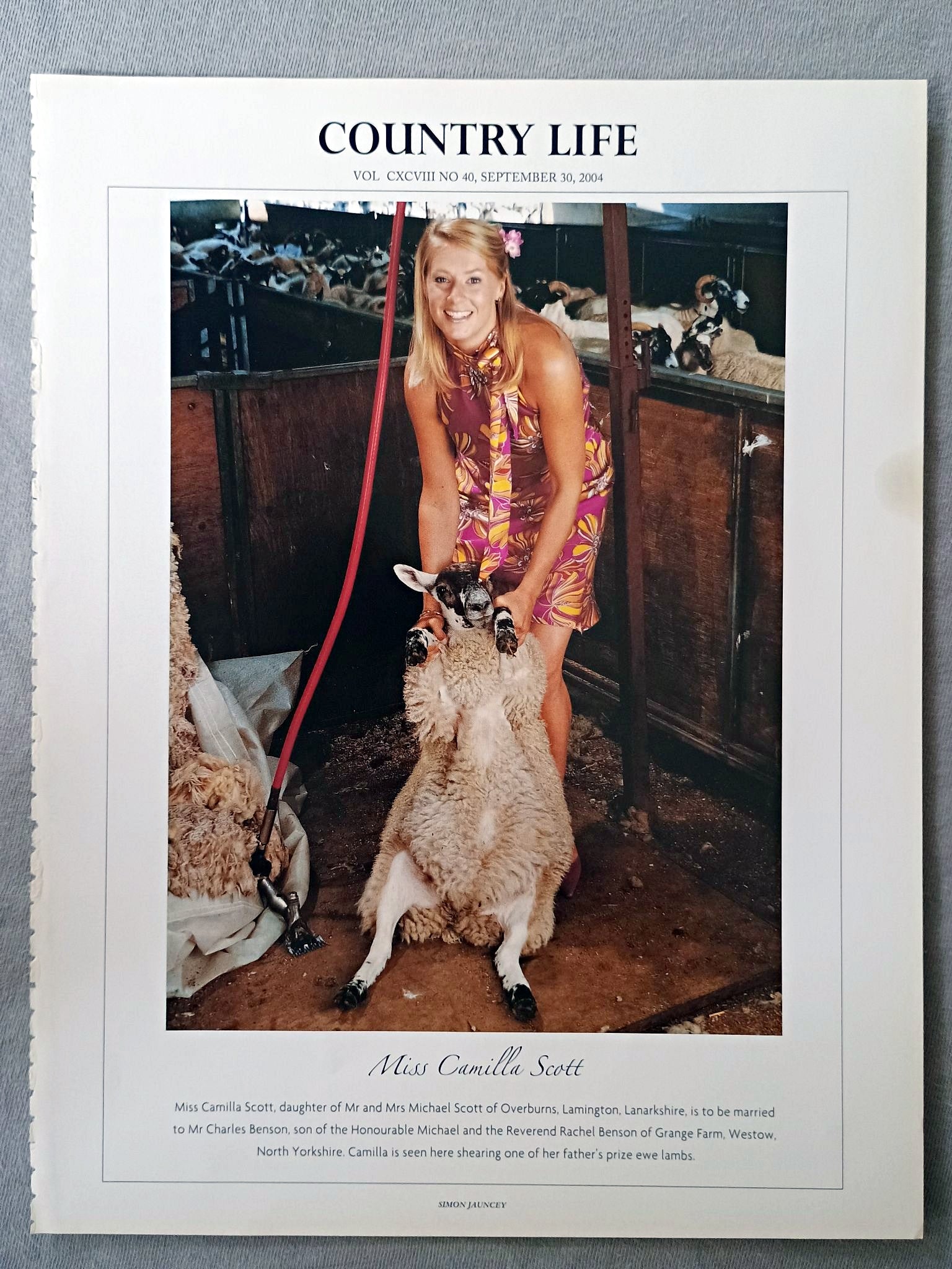 Miss Camilla Scott, daughter of Mr and Mrs Michael Scott of Overburns, Lamington, Lanarkshire, is to be married to Mr Charles Benson, son of the Honourable Michael and the Reverend Rachel Benson of Grange Farm, Westow, North Yorkshire. Camilla is seen here shearing one of her father's prize ewe lambs.