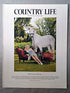 Miss Caroline Brough - Caroline, aged 24, is the elder daughter of Mr and Mrs Miles Brough of Warninglid, West Sussex. Educated at Burgess Hill School for Girls, she read Equine Business at Cirencester Agricultural College. Caroline is now a hunting journalist and works for Country Club UK. She is photographed at home with Dancer, Pig, Whippy and Tiggy.
