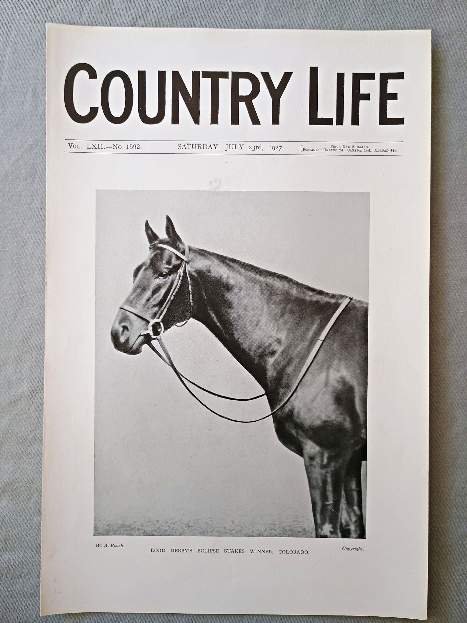Colorado, Lord Derby's Eclipse Stakes Winner Country Life Magazine Portrait, Frontispiece, July 23 1927. LXII No. 1592

The featured frontispiece this week shows Lord Derby's Eclipse Stakes Winner. Colorado
