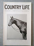 Colorado, Lord Derby's Eclipse Stakes Winner Country Life Magazine Portrait, Frontispiece, July 23 1927. LXII No. 1592

The featured frontispiece this week shows Lord Derby's Eclipse Stakes Winner. Colorado