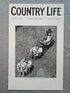 King George V and Queen Mary at Royal Ascot Country Life Magazine Portrait, Frontispiece, April 17 1926. LIX No. 1528

The featured frontispiece this week is of the King and Queen arriving at Royal Ascot