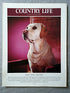 Miss Nima Grylls - Nima is on the executive canine committee of Macmillan Dog Day, which will be opened by the Duke of Devonshire on Tuesday, July 9, in the grounds of the Royal Hospital Chelsea, in aid of Macmillan Cancer Relief. Accompanied by her owner, Mrs Bear Grylls, Nima will present certificates to competitors in the celebrity-hosted dog classes.
