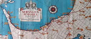   Pictorial Maps - The Old Map Shop 