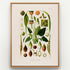 1879 Spathicarpa sagittifolia antique botanical print, Plate 14 by Heinrich Wilhelm Schott, shown in a natural oak frame as botanical wall art, featuring a Spathicarpa sagittifolia plant surrounded by tall, slender flowering structures and fruit studies.