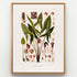 1879 Urospatha desciscens antique botanical print, Plate 16 by Heinrich Wilhelm Schott, shown in a natural oak frame as botanical wall art, featuring a tall Urospatha desciscens with spear-shaped leaves and reddish-brown flowering structures.