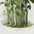 Lower detail of 1879 Montrichardia linifera antique botanical print, Plate 21 by Heinrich Wilhelm Schott. The composition presents multiple specimens with branching upper leaves and visible bases set in shallow water, emphasising the plant's natural growth habit.