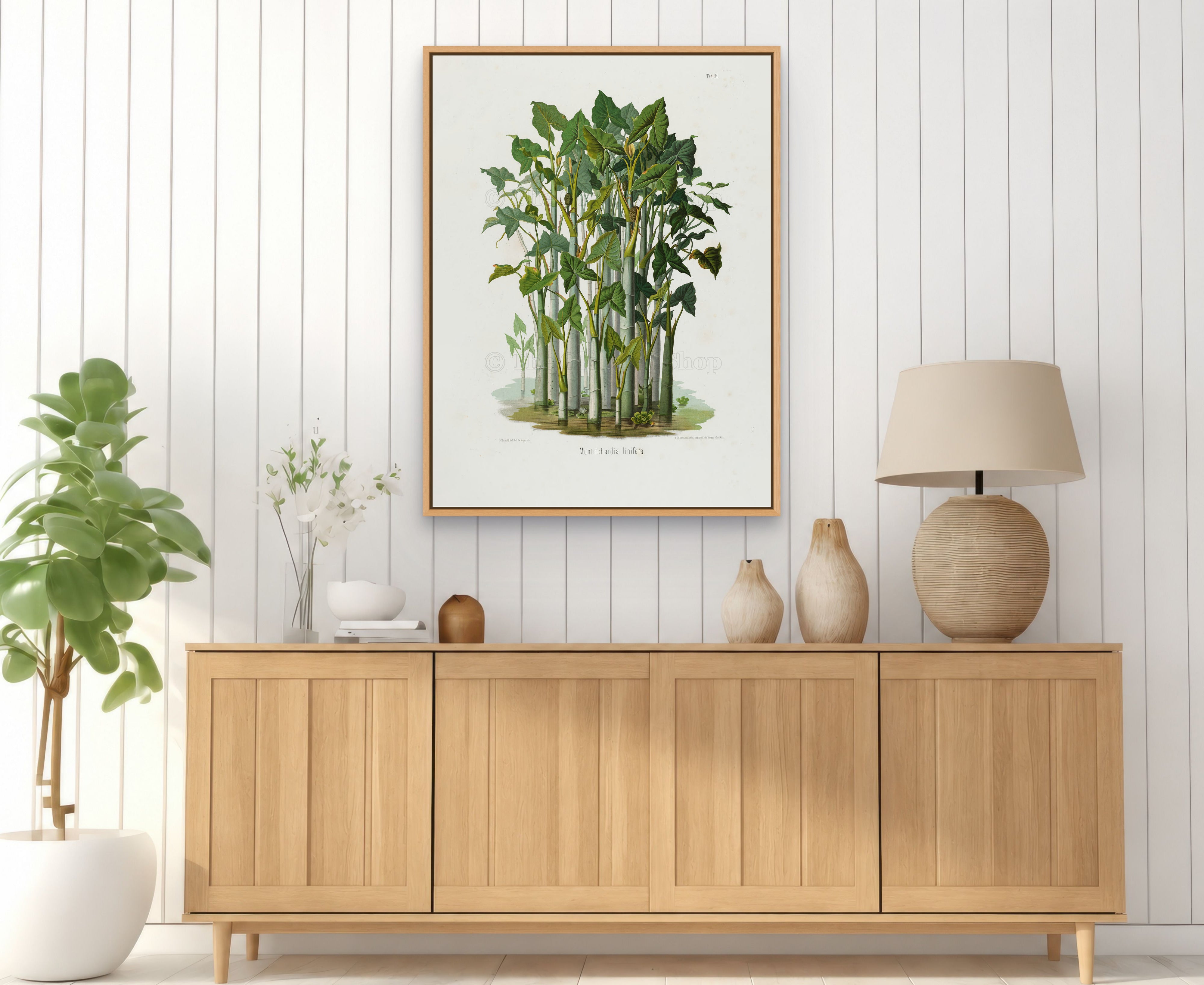 1879 Montrichardia linifera antique botanical print, Plate 21 by Heinrich Wilhelm Schott, framed above a natural oak sideboard in a bright, neutral living room.