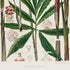 Lower detail of 1879 Asterostigma colubrinum antique botanical print, Plate 24 by Heinrich Wilhelm Schott. Pink floral studies and enlarged flower parts sit above the plant, while sectional diagrams and small details are arranged below.