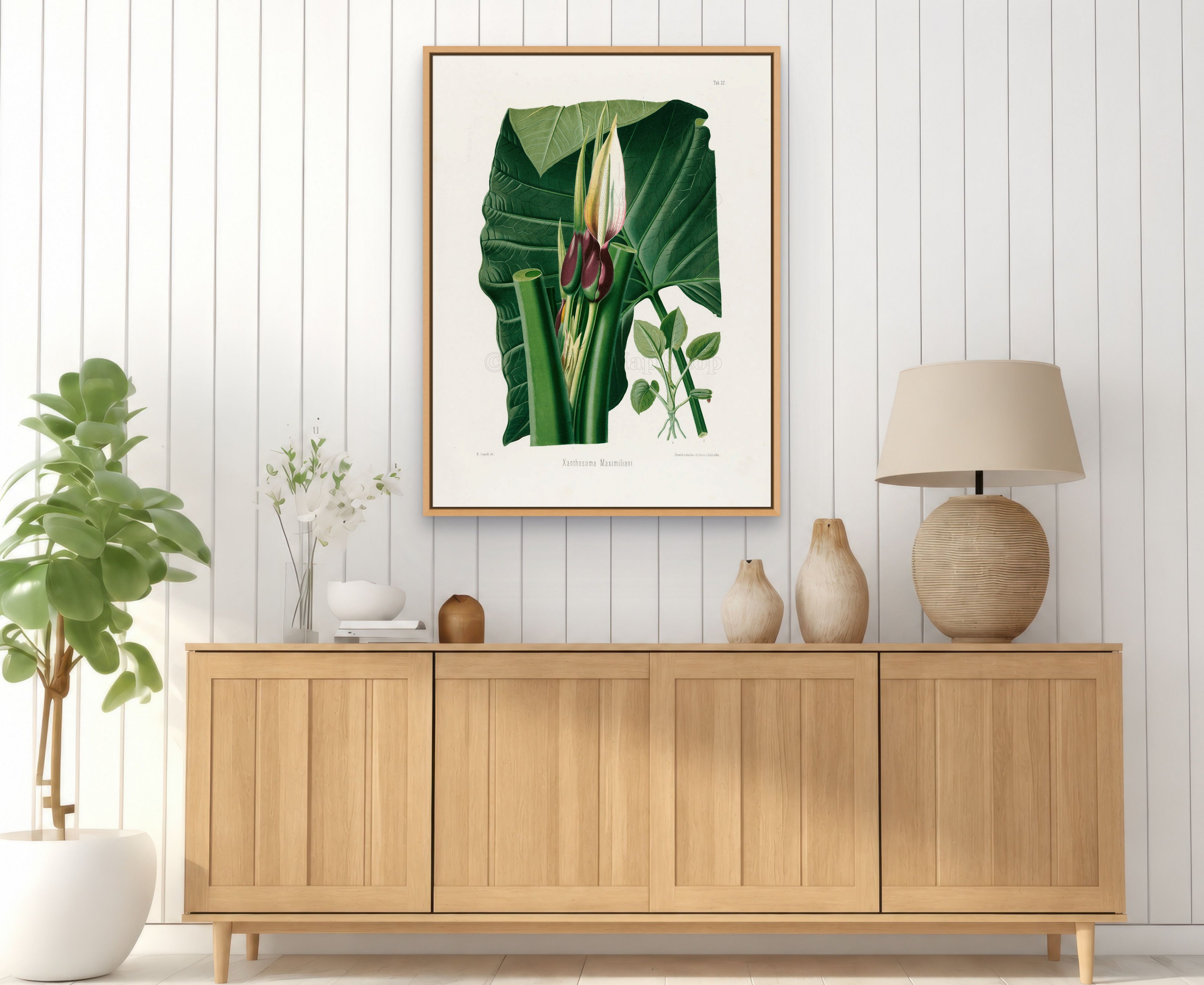 1879 Xanthosoma maximiliani antique botanical print, Plate 32 by Heinrich Wilhelm Schott, framed above a natural oak sideboard in a bright, neutral living room.