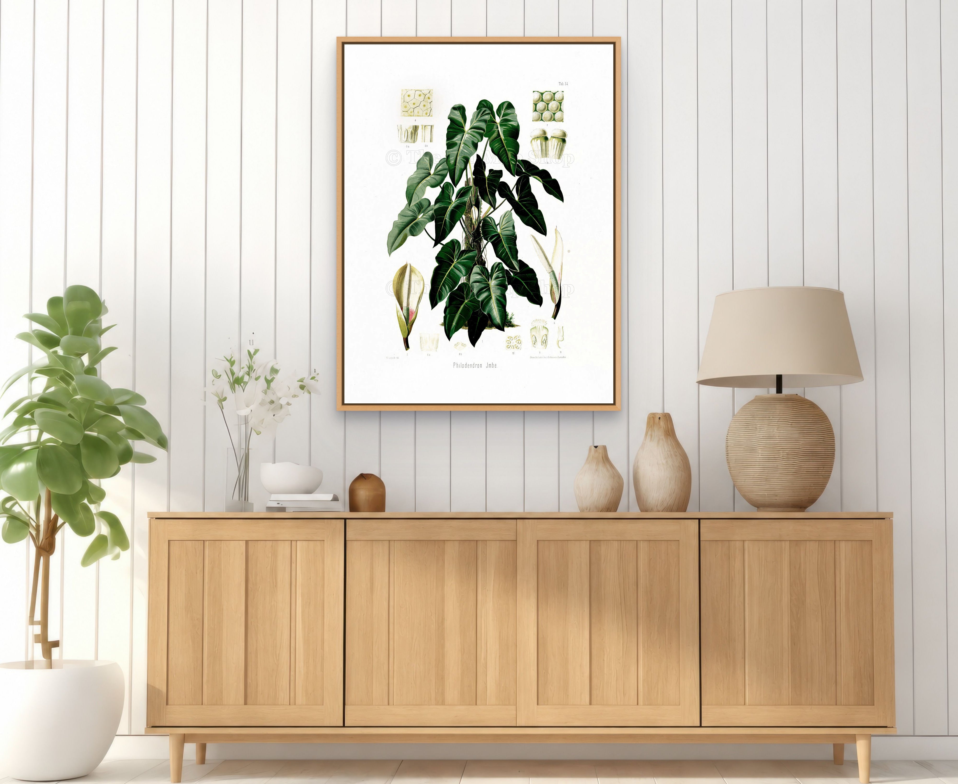 1879 Philodendron imbe antique botanical print, Plate 34 by Heinrich Wilhelm Schott, framed above a natural oak sideboard in a bright, neutral living room.