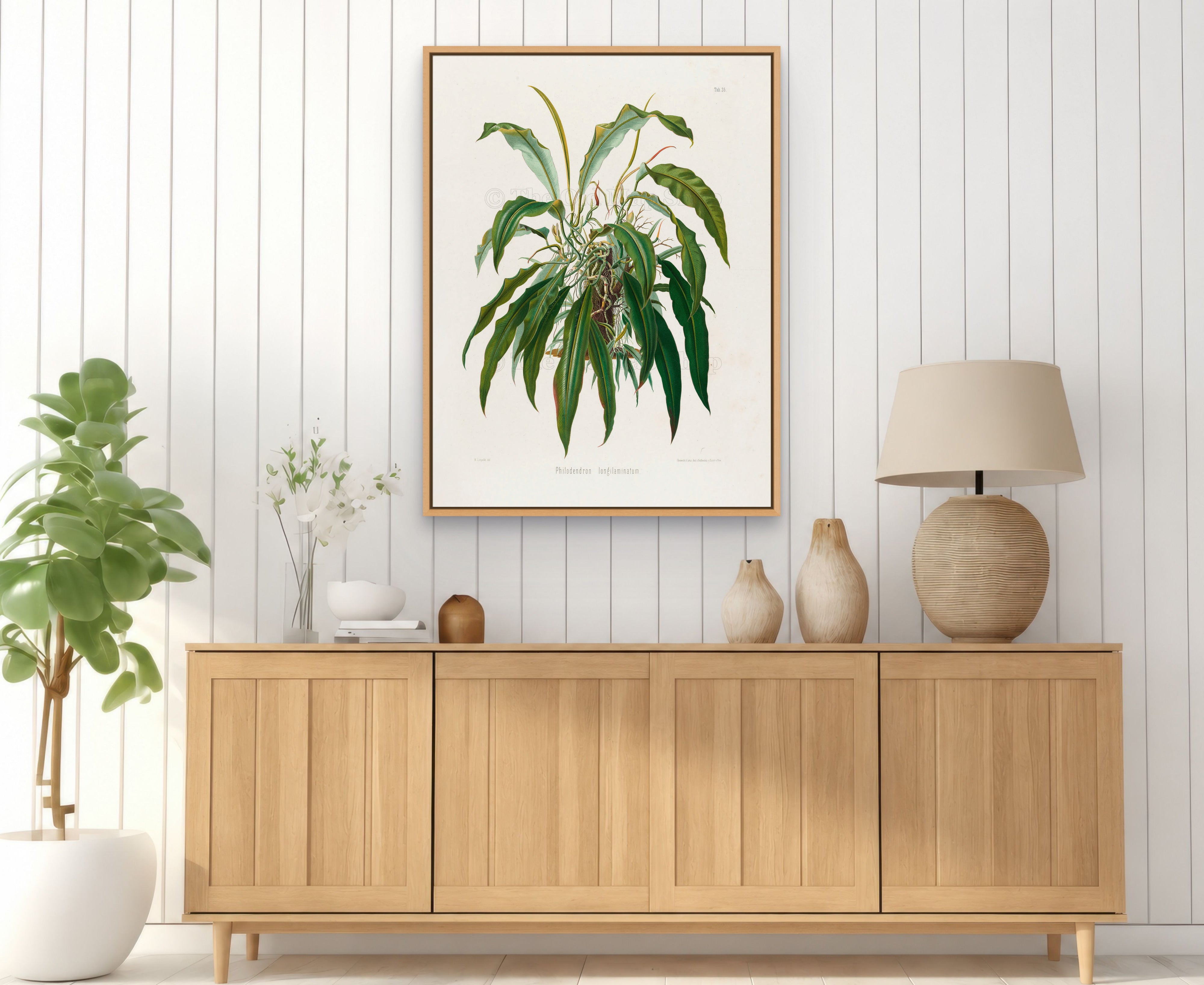 1879 Philodendron longilaminatum antique botanical print, Plate 35 by Heinrich Wilhelm Schott, framed above a natural oak sideboard in a bright, neutral living room.