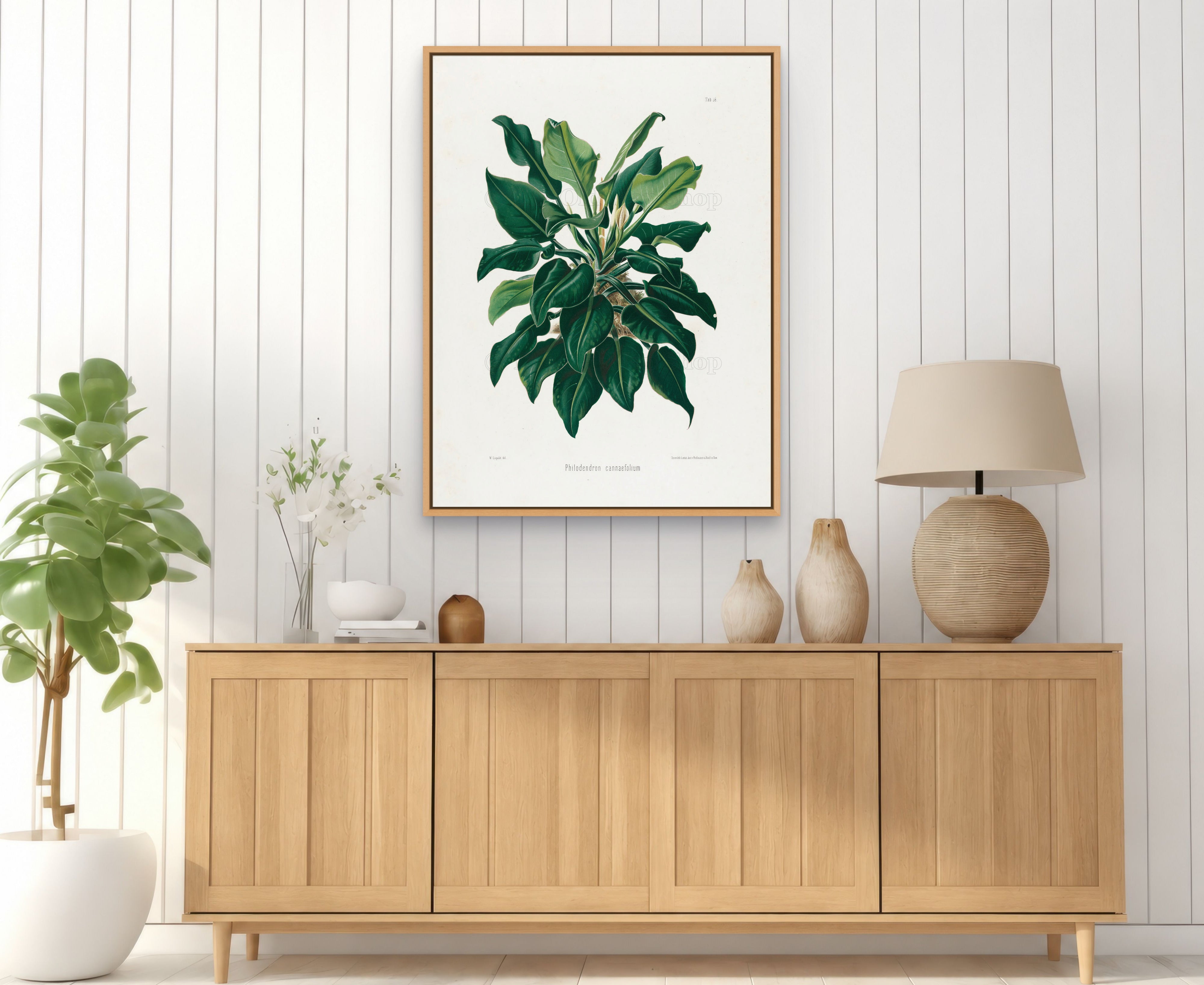 1879 Philodendron cannaefolium antique botanical print, Plate 38 by Heinrich Wilhelm Schott, framed above a natural oak sideboard in a bright, neutral living room.