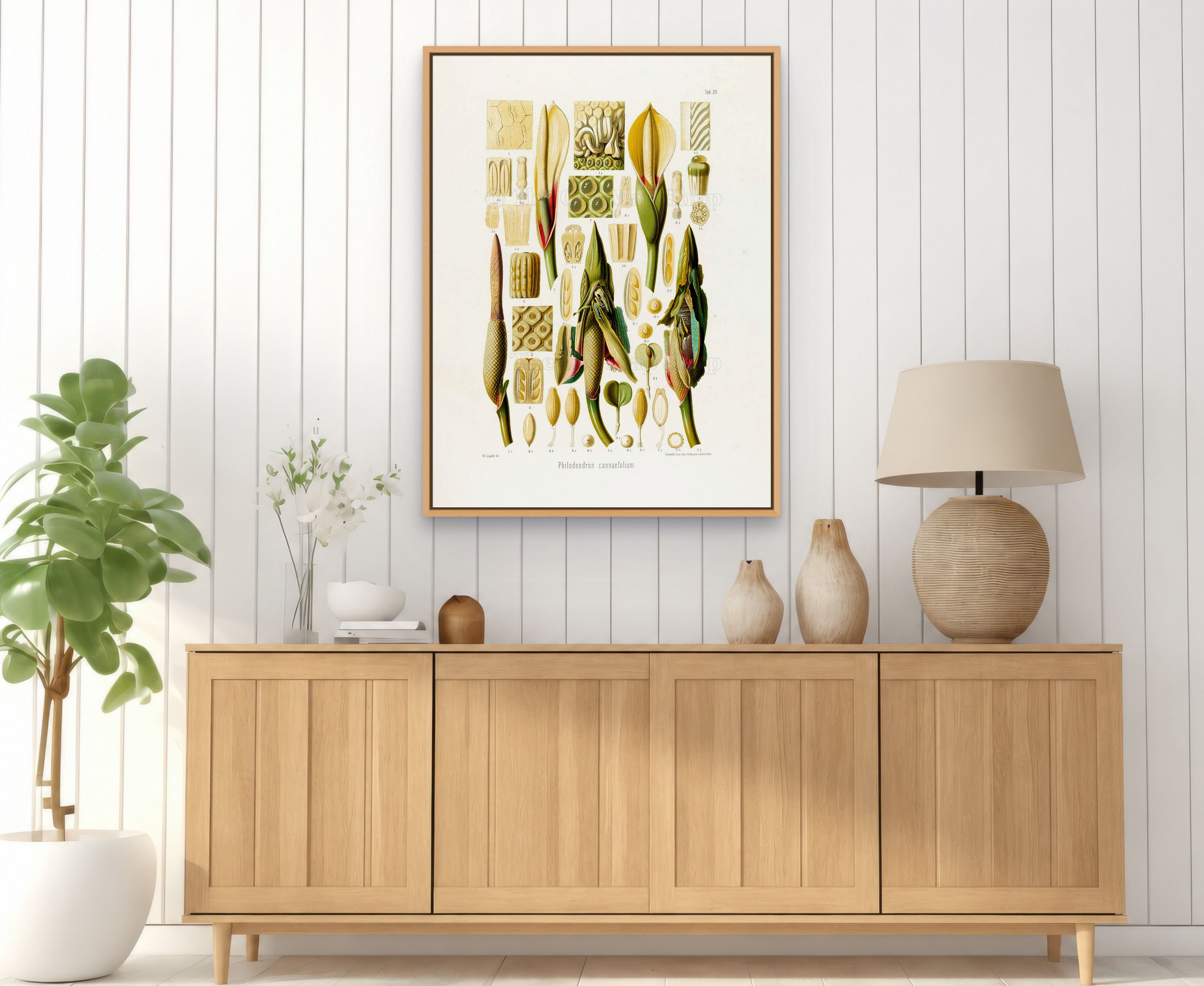 1879 Philodendron cannaefolium antique botanical print, Plate 39 by Heinrich Wilhelm Schott, framed above a natural oak sideboard in a bright, neutral living room.
