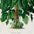 Lower detail of 1879 Philodendron imperiale antique botanical print, Plate 41 by Heinrich Wilhelm Schott. The naturalistic illustration fills the sheet with densely clustered leaves and many visible stems rather than individual scientific diagrams.