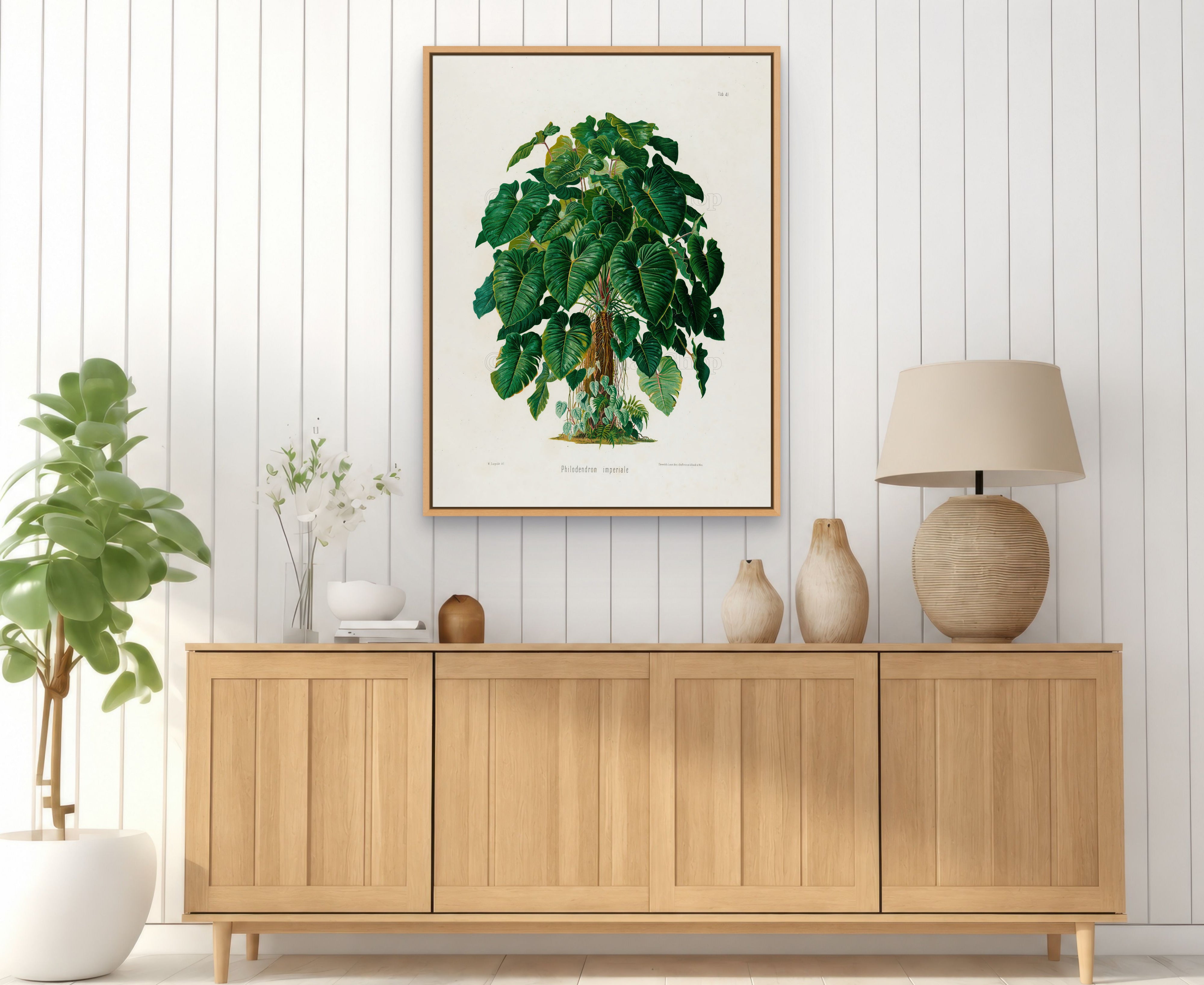 1879 Philodendron imperiale antique botanical print, Plate 41 by Heinrich Wilhelm Schott, framed above a natural oak sideboard in a bright, neutral living room.