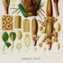 Lower detail of 1879 Philodendron imperiale antique botanical print, Plate 42 by Heinrich Wilhelm Schott. A prominent central floral cluster is flanked by tall spathes and magnified cross-sections, seeds, tissue patterns and smaller botanical parts.