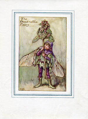 Dead-nettle Flower Fairy 1930's Vintage Print Cicely Barker Spring Book Plate SP009