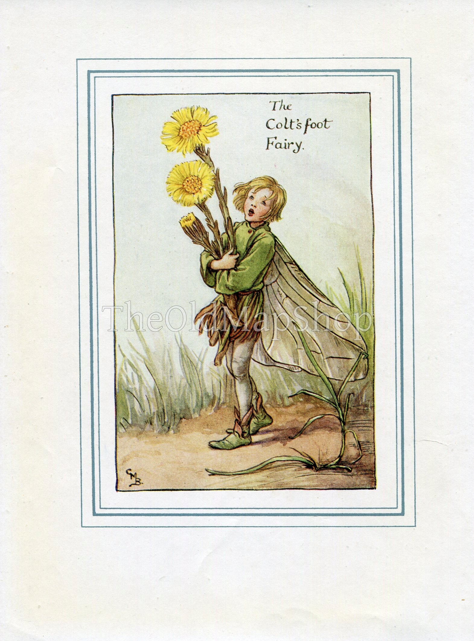 Coltsfoot Flower Fairy 1930's Vintage Print Cicely Barker Spring Book Plate SP006