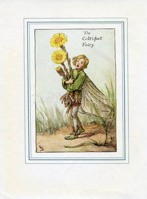 Coltsfoot Flower Fairy 1930's Vintage Print Cicely Barker Spring Book Plate SP006