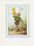 Coltsfoot Flower Fairy 1930's Vintage Print Cicely Barker Spring Book Plate SP006