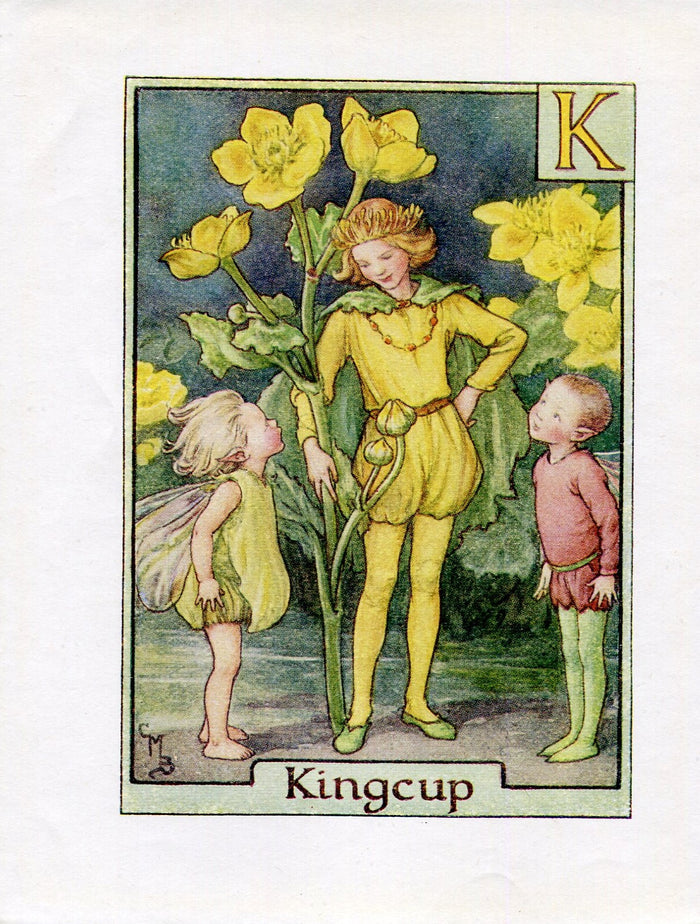 Kingcup Flower Fairy Vintage Print c1940 Cicely Barker Alphabet Letter K Book Plate A024