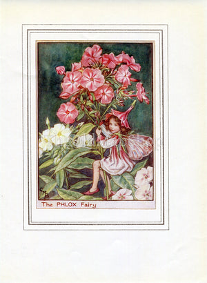 Phlox Flower Fairy 1950's Vintage Print Cicely Barker Garden Book Plate G041