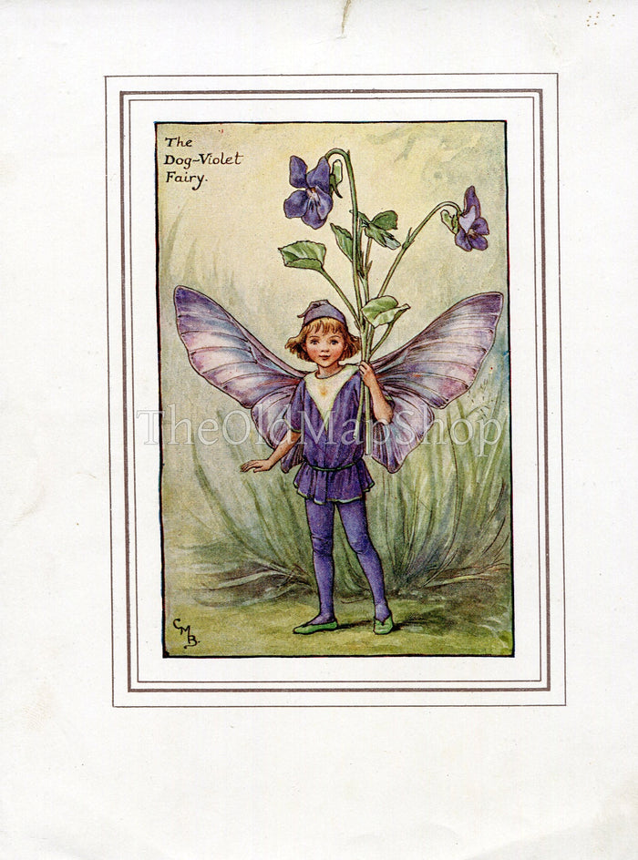 Dog-Violet Flower Fairy 1930's Vintage Print Cicely Barker Spring Book Plate SP031